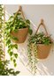 Flower Pot Mini Decorative Basket 2-Piece Mini Flower Pot 12X10 cm (Plants and Wooden Hangers Are Not Included)