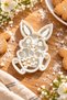 Cute Easter Bunny Themed Cookie Mold - 2