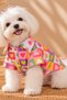 Colorful, Patterned, Collared Transitional Dog Shirts and Jackets - Stylish Dog Clothing for Your Furry Friends