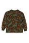 Brown Long-Sleeve Sweatshirt with Dinosaur Print for Boys, Ages 2–7 - 5