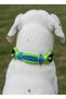 Adjustable Dog Collar for Small and Large Breeds—Scotch Rope & Leather, Green & Blue