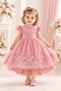 Toystore Girl's Baby Dress, Birthday Costume Outfit, Pink, 1-2 Years, Imported.