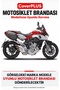 MV Agusta Stradale 800 Motorcycle Cover (BLACK-RED STRIPES) Motorcycle Cover, Motorcycle Tent, Motorcycle Cover, Case - 2