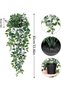 Artificial Hanging Plants with Pots and Macrame Hangers, 2 Pack - 3