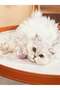 Automatic Cat Ball ， Cat Toy USB Charging Pink - 8