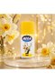 Rezerve odorizant cameră, INDIAN, 2x205ml - 2