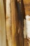 Painted Pattern Lyocell Shawl, Olive Green - 2