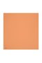 Sandstone Solid Color Twill Silk Scarf