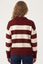 Women's Burgundy Cream Striped Polo Collar Sweater - 3