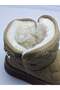 MLU BDLZ3022 Taupe Color Women's Winter Boots with Fur-Lined Design - 5