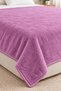 Double Welsoft Blanket 220X240 Large Size Blanket Soft Soft Textured - 3