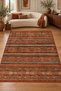 Vintage Machine-Woven Rug, Washable, Non-Slip Sole, Shag Living Room Rug 0087 Terracotta Color - 2