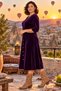 Plus-Size Women's V-Neck Velvet Dress with Collar Detail and Truvakar Sleeve Detail - 3