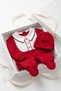 Boys' Baby Romper Set with Booties and Hat, 2-Piece Set, Long-Sleeved, Snap-Fastened, 3–6 Months - 5
