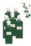 6 قطع Emerald Soul Diamond Perfume 200 مل