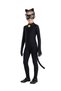 Catnoir Costume