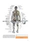 Strength Training Anatomy - 8