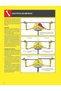 Strength Training Anatomy - 5
