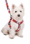 NEW YEAR'S AND CHRISTMAS-THEMED DOG CHEST HARNESS AND LEASH SET (3-PIECE SET) - 3