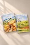 A5 Spiral-Bound School Notebook, 80 Sheets, 2-Pack – Lined & Dotted - 6