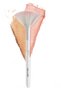 Blush Brush - 5
