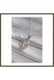 316L Steel Silver-Colored Zircon Stone Wing-Style Women's Necklace BX