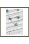 316L Stainless Steel Chain, Silver-Toned, Green Clover Women's Necklace BX