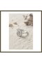 Nautilus Design Silver-Colored Women's Ring BX
