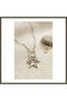 Silver-Colored Clip Chain Star-Shaped Necklace with Zircon Stones for Women BX