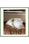 Cream-Cappuccino Simella Model 5-Piece Embroidered Tablecloth and Table Runner Set HB006