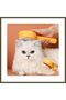BX Hamburger-Shaped Self-Cleaning Pet Brush