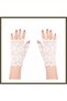 White Lace Fingerless Short Gloves BX