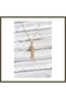 316L Stainless Steel Chain, Gold-Colored, Fish-Shaped, Zircon-Studded Women's Necklace BX