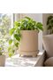 Ribbed Planter with Legs, 11.5 cm Opening, Modern Mid-Century Plant Pot for Indoor Plants, Beige - 2