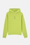 Emperor Penguin SuperSoft Hoodie - Pistachio Green