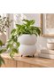 Ribbed Bubble Planter with Legs, 8.8 cm Opening, White - 2