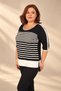 Women's Horizontally Striped, Embellished with Stones, Butterfly-Patterned Stretch Fabric Viscose Blouse - 3