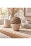 Ribbed Acorn Trinket Box 12 cm with Textured Screw Lid, Beige & Taupe, Beige Taupe - 4