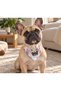 Adjustable Cat and Dog Bandana – Neck Accessory - 2