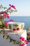Cherry Much 7-Piece Porcelain Bowl Set for 6 People, Green - 4