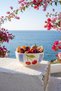 Cherry Much 7-Piece Porcelain Bowl Set for 6 People, Blue - 2
