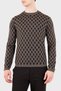 Regular Fit Crew Neck Jacquard Logo Sweater for Men SWEATER EM006360 AF27946 F6023 - 2
