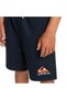 Eqbfb03144 Easy Day B Otlr Boys' Shorts - 5