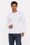 Men's Long Sleeve T-Shirt Lf2044276