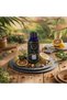 Sultan Fragrance Oil for Scent Diffusers Aromatherapy 500ml | IFRA Certified | Luxurious Bergamot, Muguet & Floral Scent for Home, Office & Workspaces | Long-Lasting, Relaxing Ambiance - 5