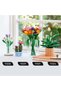 Botanicals 11504 - 7