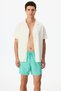 Men's Basic Turquoise Shorts