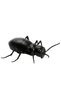 Giant Ant with Lights and Remote Control GEN01 - 4