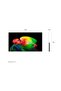55-Inch OLED AI B6 4K Smart TV, OLED55B66LA, Black |2026 Model - 2