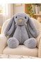 Cute Plush Rabbit Toy 35 cm – 5 Different Color Options, Soft and Decorative Gift - 4